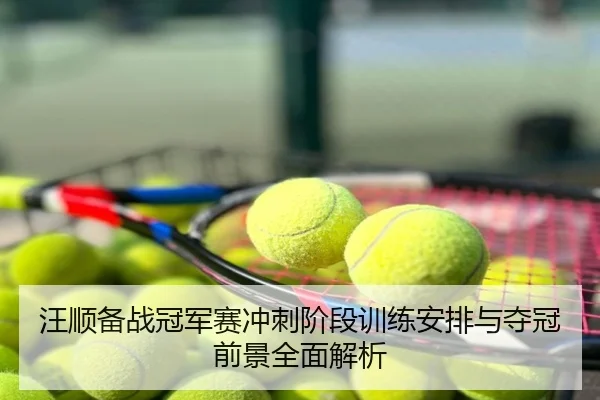 汪顺备战冠军赛冲刺阶段训练安排与夺冠前景全面解析