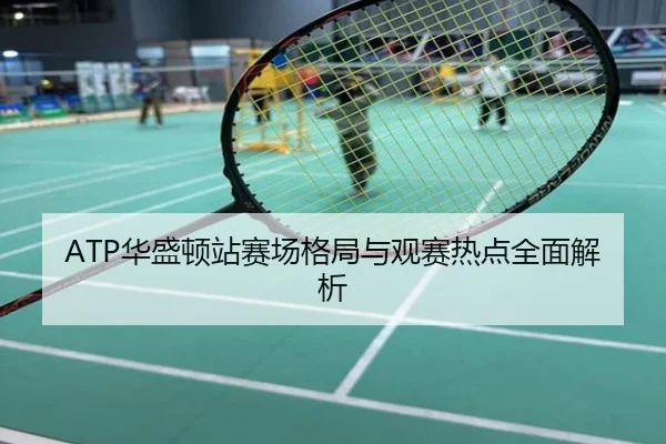 ATP华盛顿站赛场格局与观赛热点全面解析