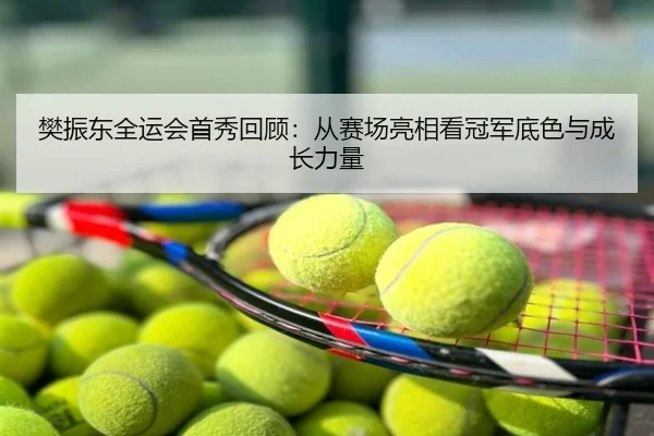 樊振东全运会首秀回顾：从赛场亮相看冠军底色与成长力量