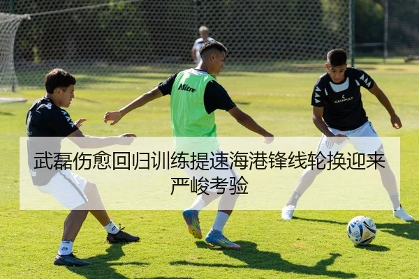 武磊伤愈回归训练提速海港锋线轮换迎来严峻考验